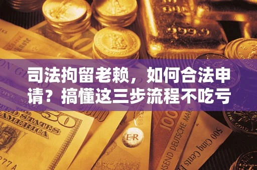 济南司法拘留老赖，如何合法申请？搞懂这三步流程不吃亏！
