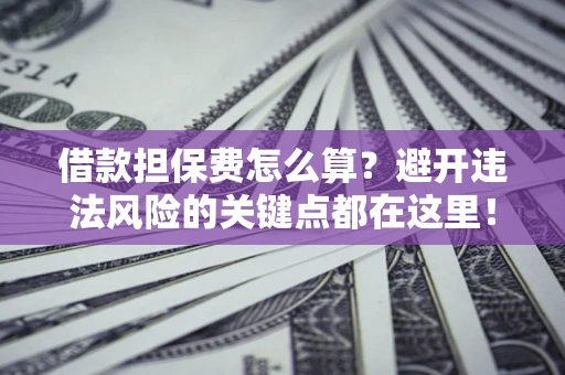 济南借款担保费怎么算？避开违法风险的关键点都在这里！