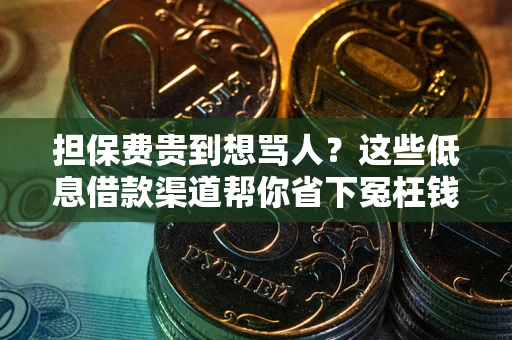 济南担保费贵到想骂人？这些低息借款渠道帮你省下冤枉钱