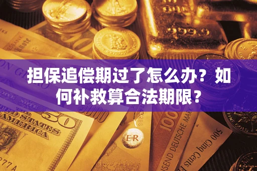 济南担保追偿期过了怎么办？如何补救算合法期限？