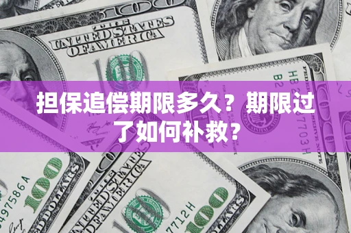 济南担保追偿期限多久？期限过了如何补救？