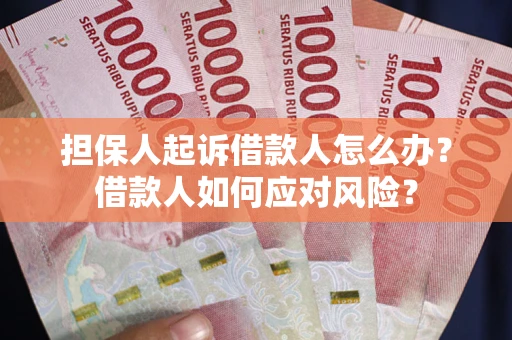 济南担保人起诉借款人怎么办？借款人如何应对风险？