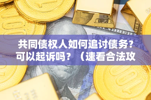 济南共同债权人如何追讨债务？可以起诉吗？（速看合法攻略）