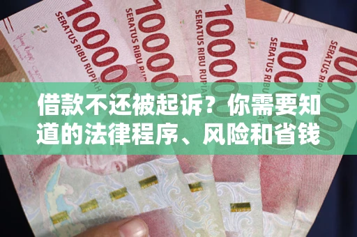 济南借款不还被起诉？你需要知道的法律程序、风险和省钱技巧
